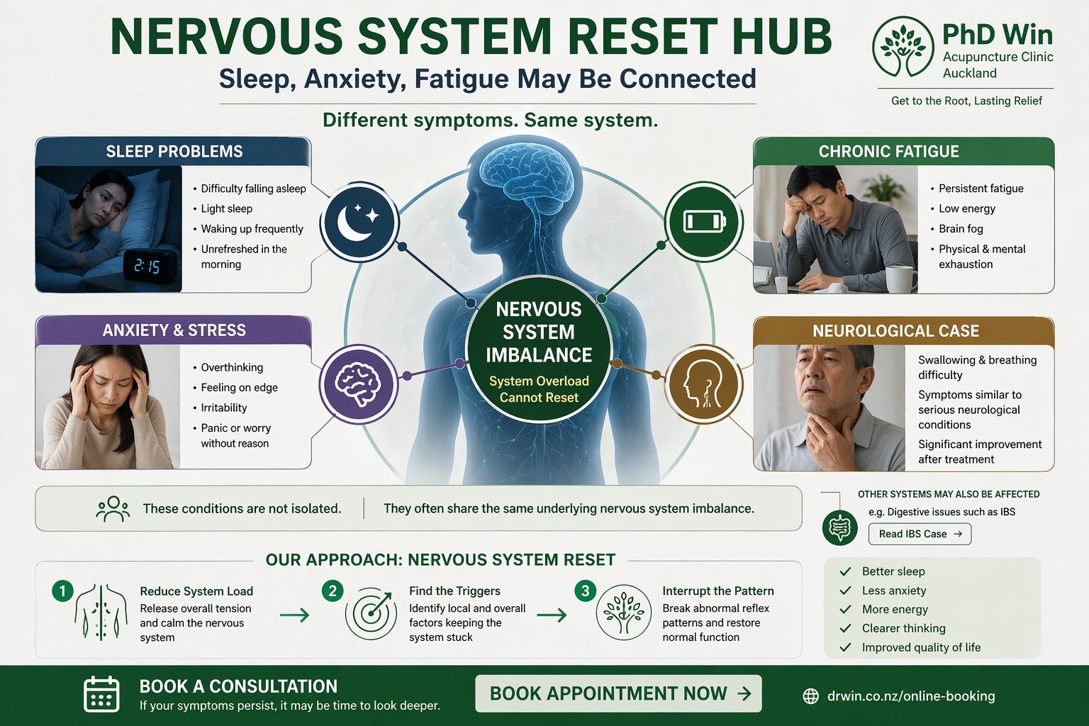 Nervous System Hub Auckland acupuncture