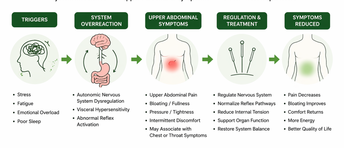 system reflex upper abdomen pain auckland acupuncture