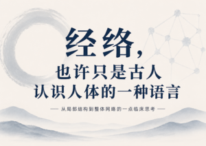 经络 中医 西医 奥克兰 中医诊所