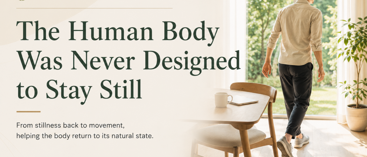 prolonged sitting, immobility, joint stiffness, muscle stiffness, nerve mobility, circulation, rehabilitation, recovery, disuse muscle atrophy, clinical reflection